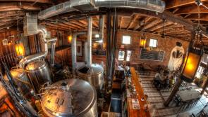 Brewing set to return to Dundalk