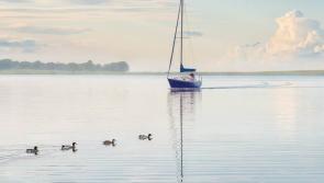 This stunning photo has been awarded Dundalk Photographic Society 'Image of the Year' 