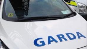 APPEAL: Gardaí appeal following hit and run incident on Louth road