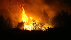 DANGER: Local TD sends THIS message to anyone thinking of setting a gorse fire 