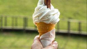 Where is the best 99 ice-cream - your chance to vote!