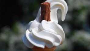 Where is the best 99 in Louth?
