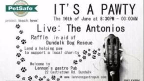 Dundalk Dog Rescue are having a Petsafe Pawty
