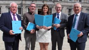 Louth's Deputy Breathnach welcomes Good Friday Committee report on Brexit