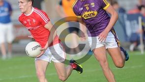Louth minors vs Wexford minors in pictures