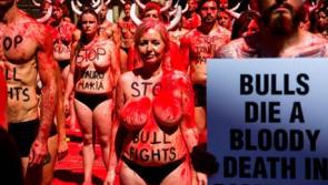 OPINION: Dundalk woman explains why she got ‘bloody’ for bulls 