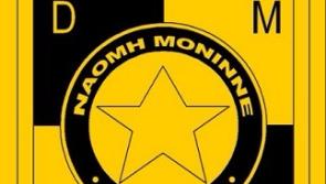 Dundalk hurling club Naomh Moninne lodge plans for new playing pitches