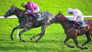 THE PUNTER'S EYE: Galway Races Tips - Day 2 - Tuesday, July 31