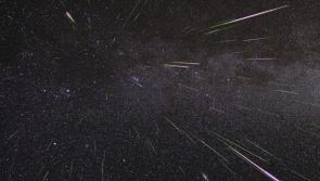 Louth skies to light up with meteor shower this weekend