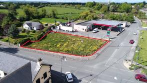 Site of McGinnity's Public House in Dromiskin up for sale