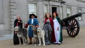 Native Dog Breeds of Ireland comes to Battle of the Boyne