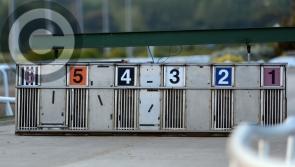 Bar One? No, several have chance in Sprint Cup final