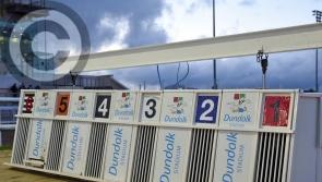 Inside Track: Horse and greyhound racing remains among the 15th August attractions