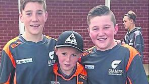 Three Louth boys taking the AFL by storm