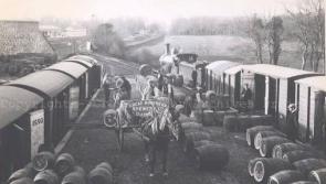 The famous history of Brewing in Dundalk