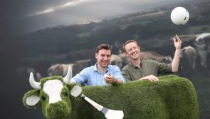 'Shed Talks’ Return for National Ploughing Championships 2017