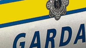 Farm machinery valued at €80,000 stolen in Louth