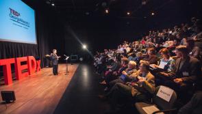 Louth event to expose impact of online cheating