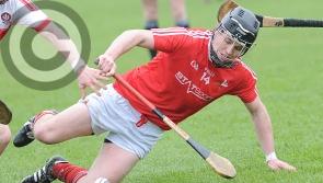 Louth hurlers earn first league victory of the season with defeat of Lancashire