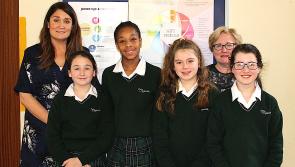 Dundalk school briefs parents on student wellbeing survey