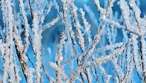 Wednesday's weather forecast for Louth 
