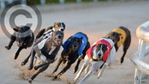 Weekend treble provides Jones’ with some compensation at Dundalk Stadium, writes Joe Carroll