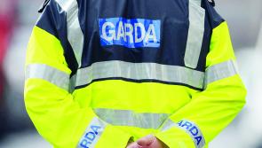 Louth TDs voice concerns on criminal violence in the county