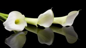 Deaths in Dundalk  - Tuesday December 12 2017 