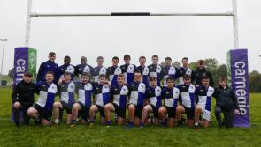 Incredible season continues for Dundalk Grammar School's rugby teams