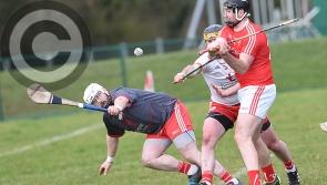 Louth hurlers find their way to goal in priceless league victory over Tyrone