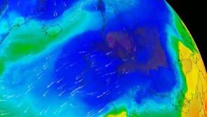 Tips and advice for people as the 'Beast from the East' bears down on Ireland