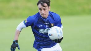 REPORTS: Louth GAA Division 1 round up