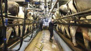 Louth IFA urges co-ops to hold milk price following challenging winter for farmers