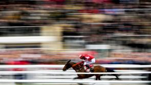 INSIDE TRACK | Tips for Cheltenham, the Racing Post and bar staff