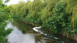 Judge seeks to jail directors of water authority