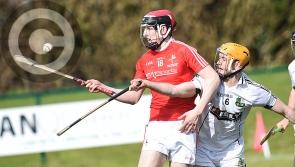 Louth hurlers denied Division 3A title as Warwickshire prevail thanks to late scoring burst