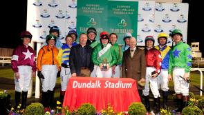 Hayes hat-trick as Dundalk host equestrian fundraiser