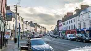 Green Party's Butler queries Tidy Towns allocations