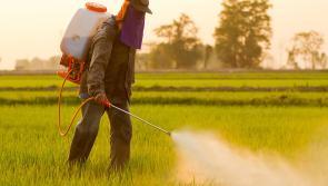 Pesticides found in Louth's drinking water supply, say Irish Water