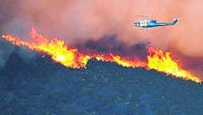 ALERT: Orange-level forest fire warning issued by Teagasc 