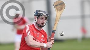 Talented Arthur brothers have permits to play for Louth hurlers revoked by GAA