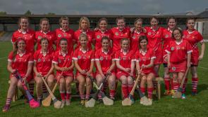 Brave Louth pipped by Carlow in Leinster junior camogie final