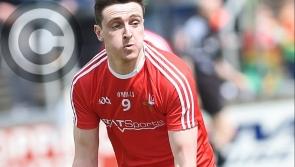 STATS | Durnin and Mulroy atop Louth's 2019 charts ahead of championship clash with Wexford