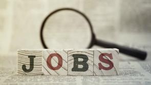 Dundalk Jobs Roundup - who's hiring in the area this week