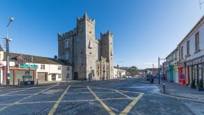 Desire for Ardee Castle redevelopment is "real", say council