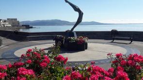 Dundalk JPC: Committee given update on replacement sergeant for Blackrock 