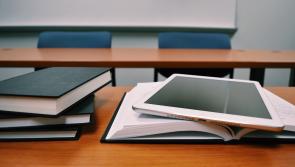 Slight decrease in Ukrainian pupils attending schools in Louth