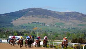 Two 40/1  winners on unpredictable night at Dundalk Stadium  