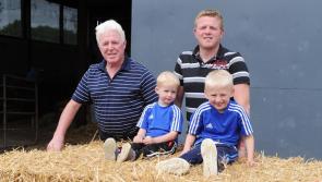 Drought costing Louth farmer extra €3,500 a week 