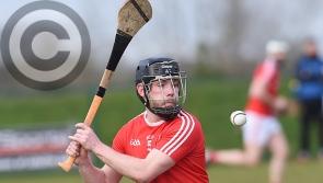 Louth to face Roscommon in opener as National Hurling League Division 3A fixtures released